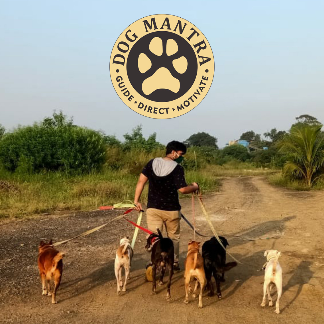 The Dog Mantra website and brand imagery — client of KKJ Advisory